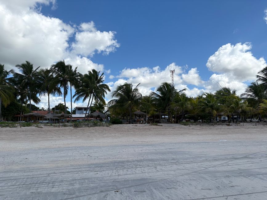 Jahrestag ohne komische brasilianische Problemchen