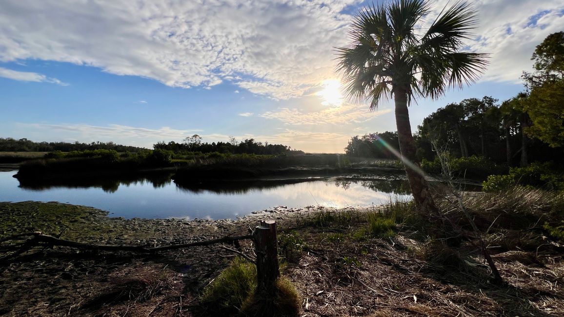 Tag 381 - Crystal River
