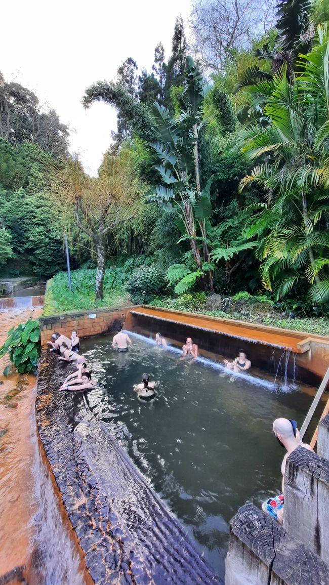 Jungle bath 
