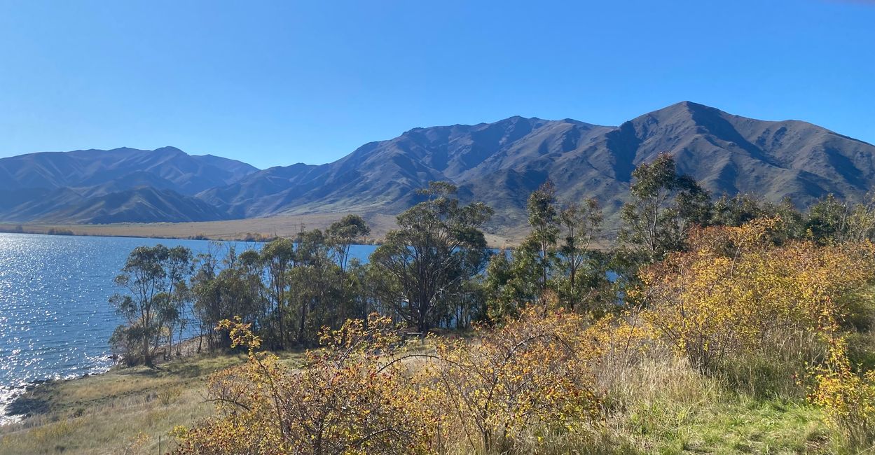 From Waimate to Twizel