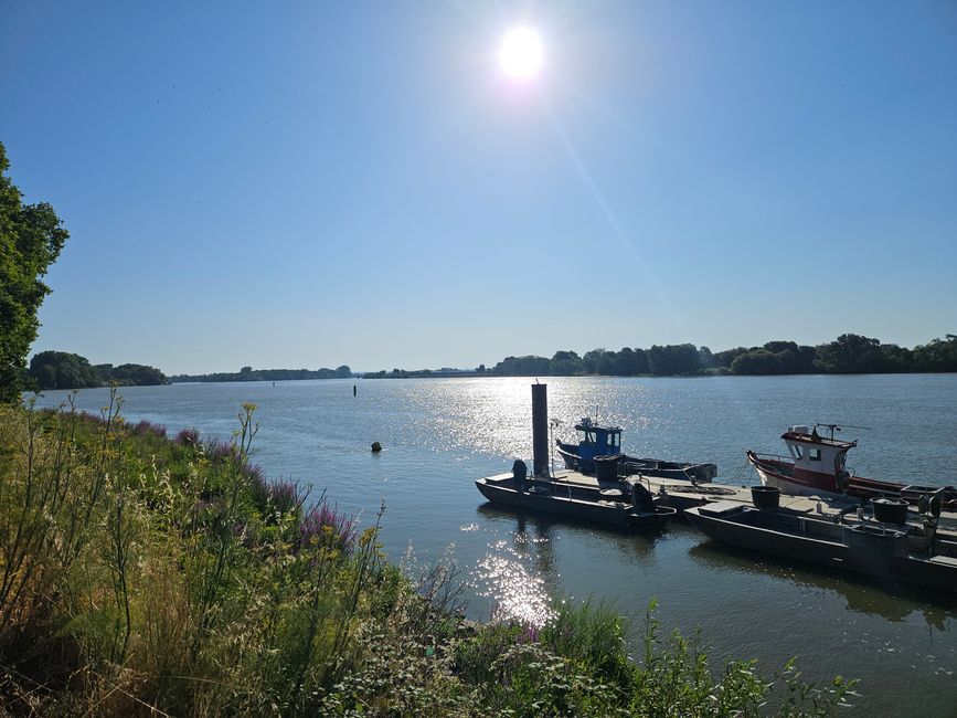 Au bord de la Loire près de Sainte-Luce-sur-Loire