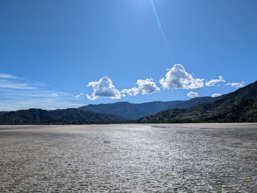 Auf ein paar Worte in Abel 
Tasman
