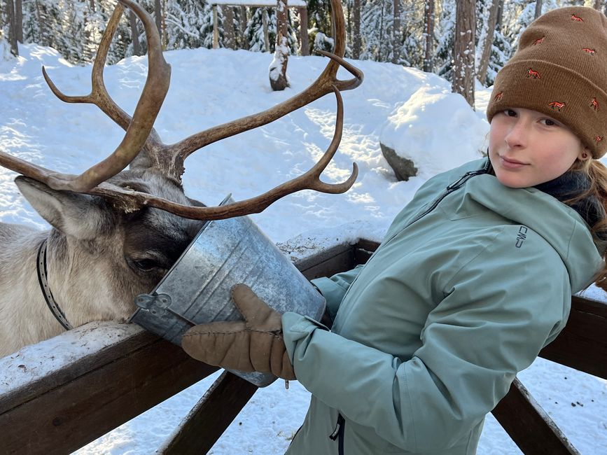 The finnish way