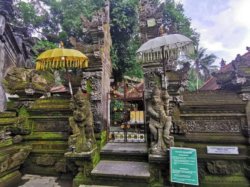 Excursión de un día a Ubud y Tegallalang