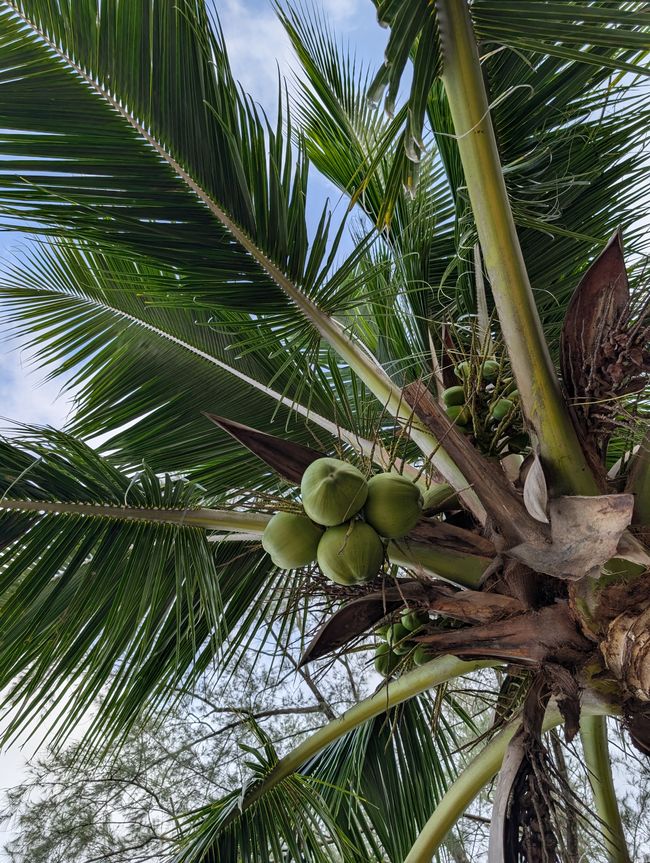 Eine ausgestreckte Hand am Fensterbrett