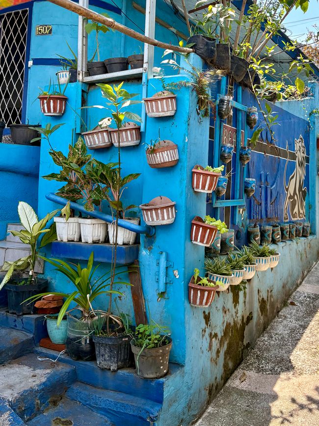Kampung Warna Warni Jodipan