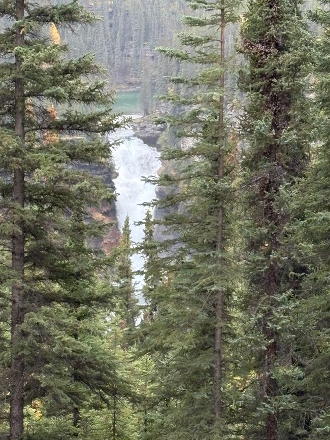 标签 9 – 🚐 公里,碎石道路与大城市冲击 – 我们前往福特圣约翰的旅程 🇨🇦