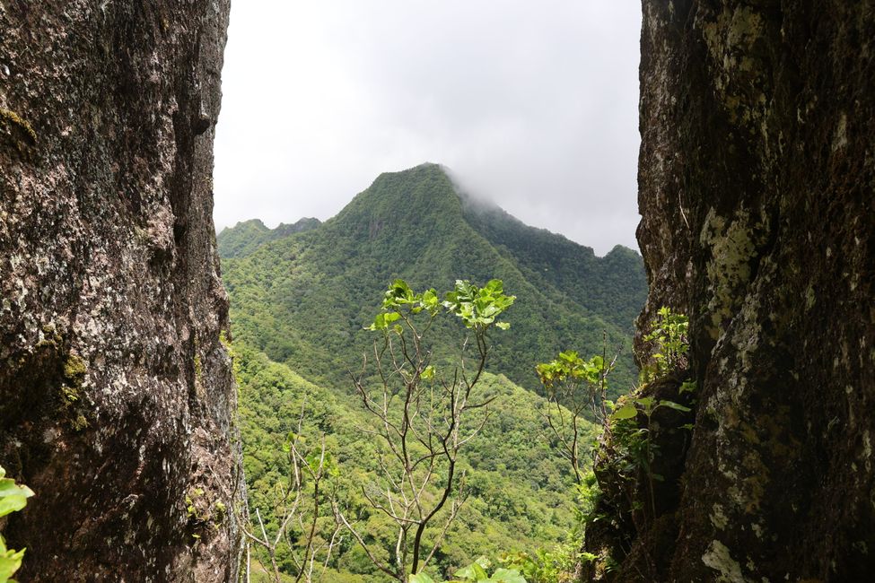 Rarotonga - Caminata cruzada por la isla