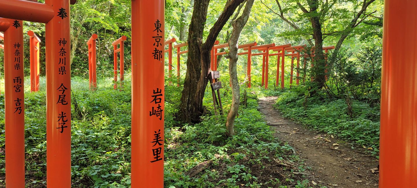 Day 14. Nagano