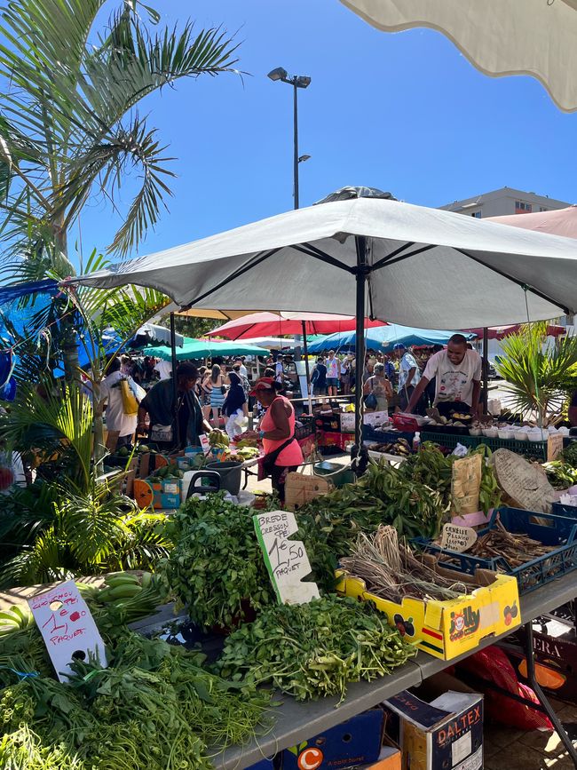 La Réunion – eine kleine Insel mit großer Vielfalt