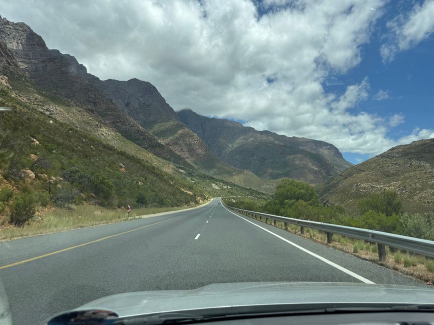 Weihnachtstage in Stellenbosch