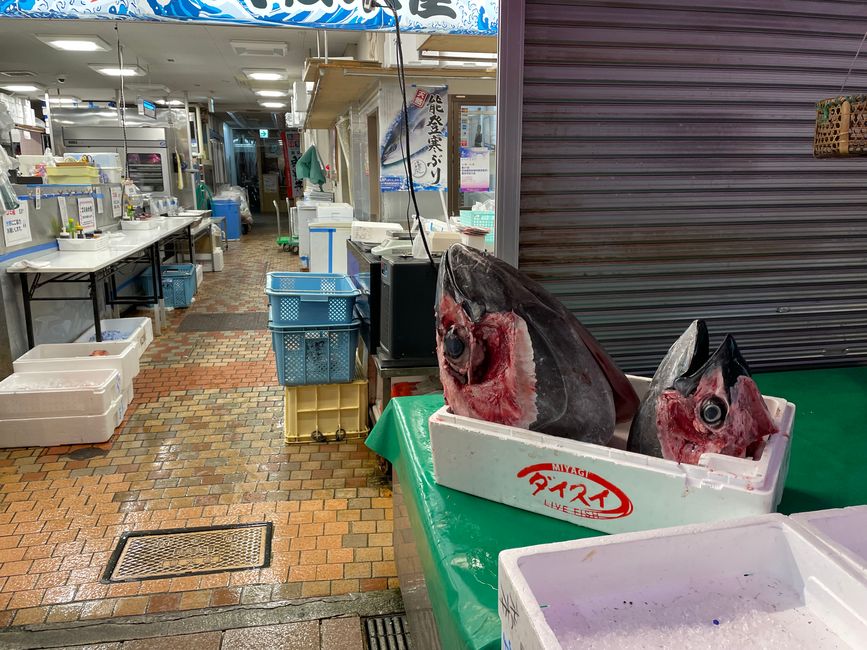 Fish Market