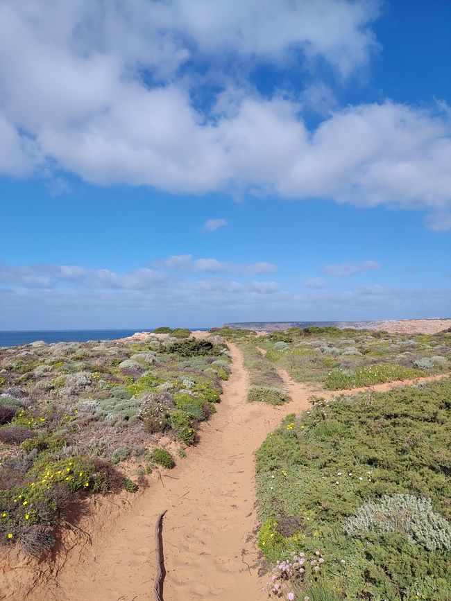 Sagres -> Vila do Bispo