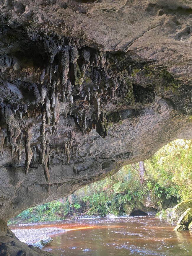 Verso Karamea