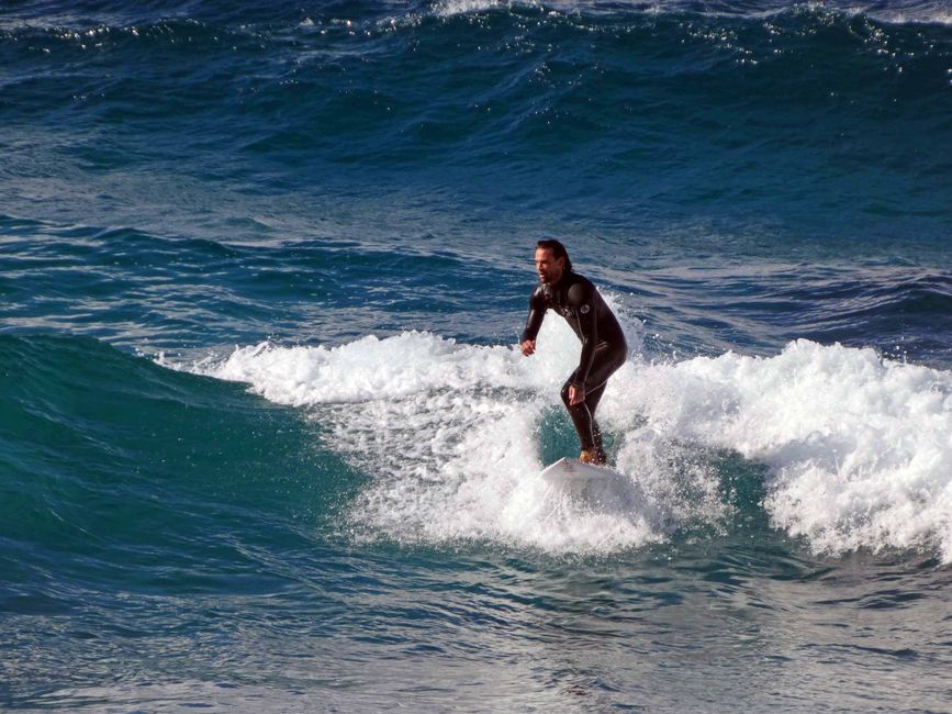 Surfer in Bondi