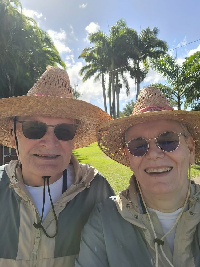 Tag 22 von 175: Kreuzfahrt rund um die Welt - Roseau/Dominica