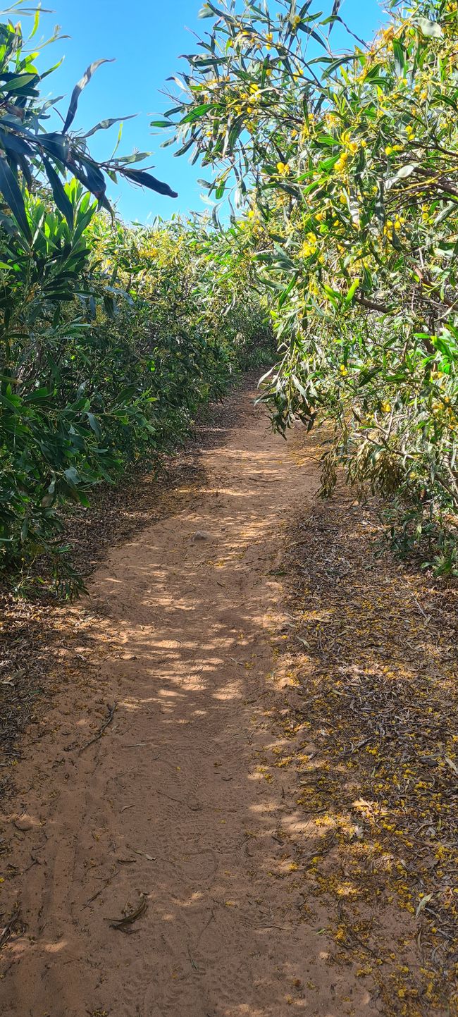 3. Etappe Vila Nova de Milfontes - Cavaleira