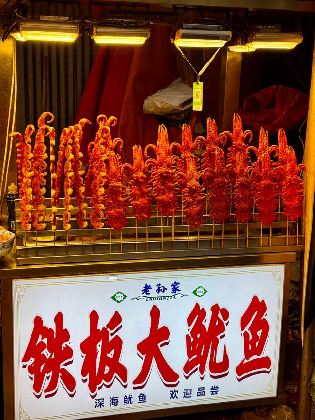 Part 2: Xi'an and Chengdu 🐼