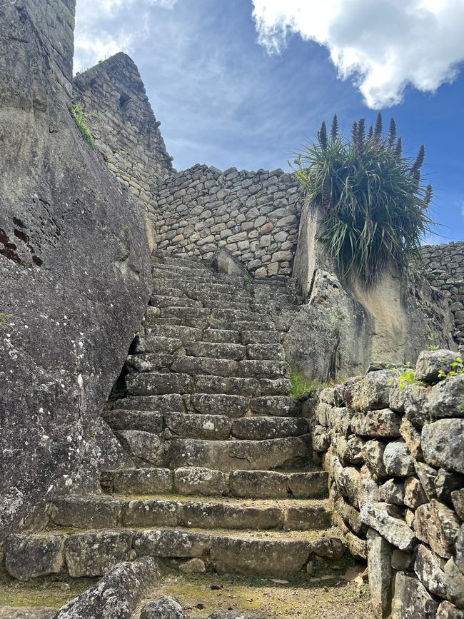 👷‍♂️Tag 26-2 (3.11.) Machu Picchu, die alte Inca-Stadt