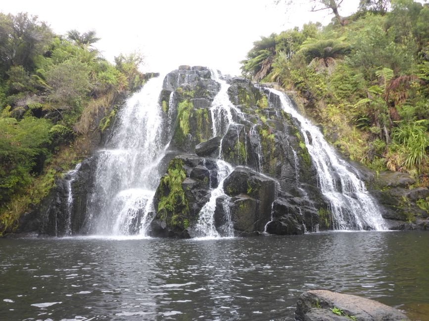 Chutes Owharoa