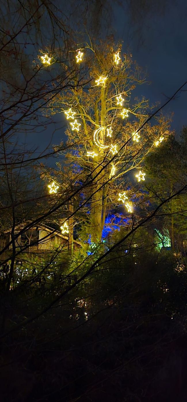Giardino di Natale allo Zoo di Hannover