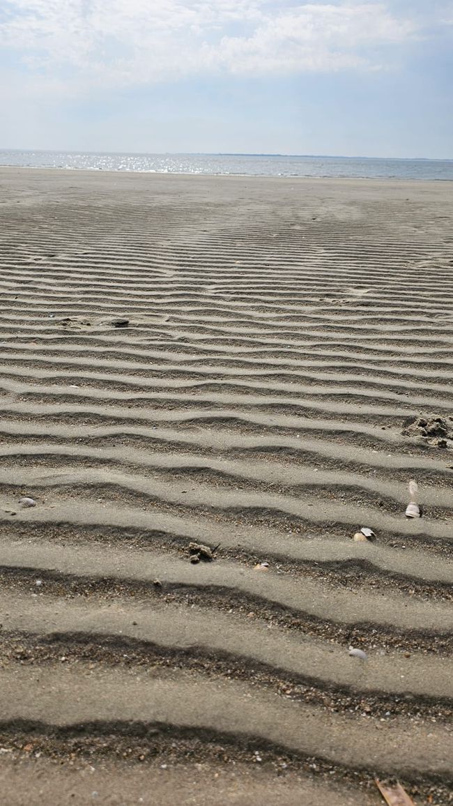 Dagebüll/ Sonderstrand Isla Römö Dinamarca