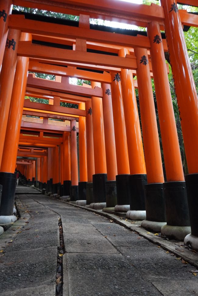 Im Sprint durch Kyoto