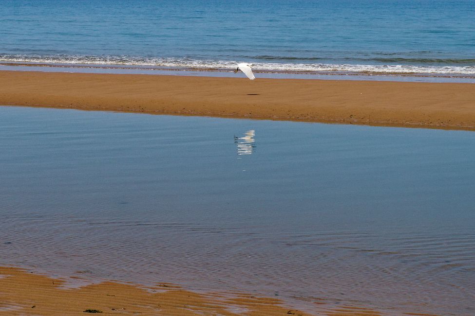 Omaha Beach