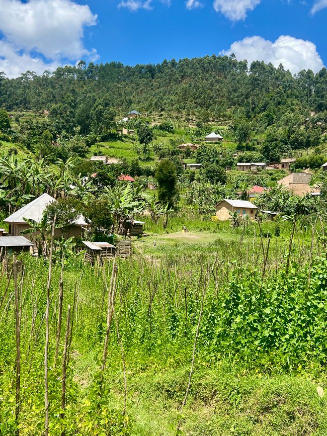 Von Entebbe nach Kisoro