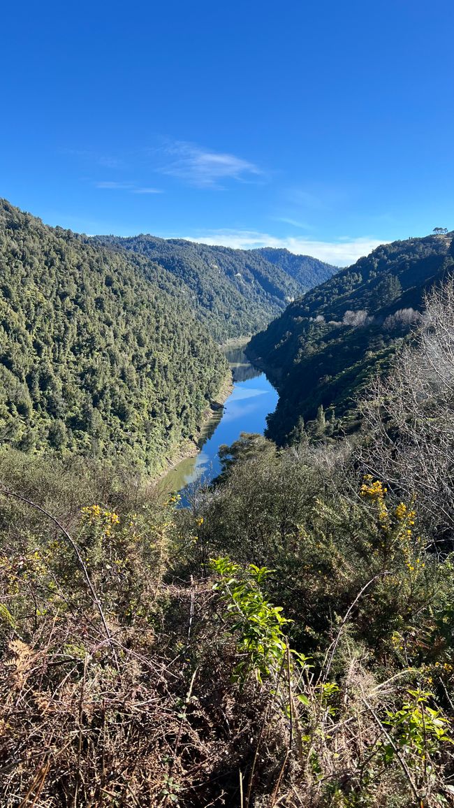 Blick auf den Whanganui River