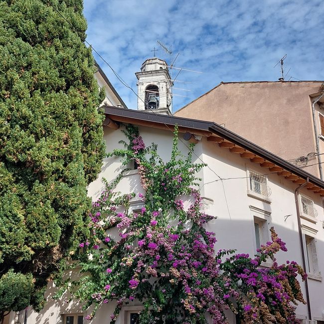Lazise