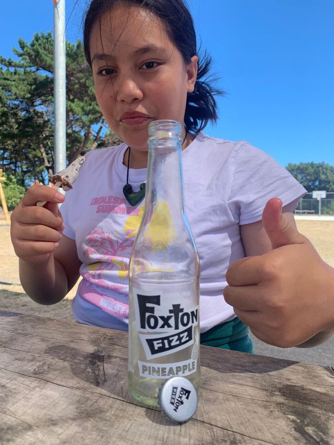 18_LEVIN UND WHANGANUI