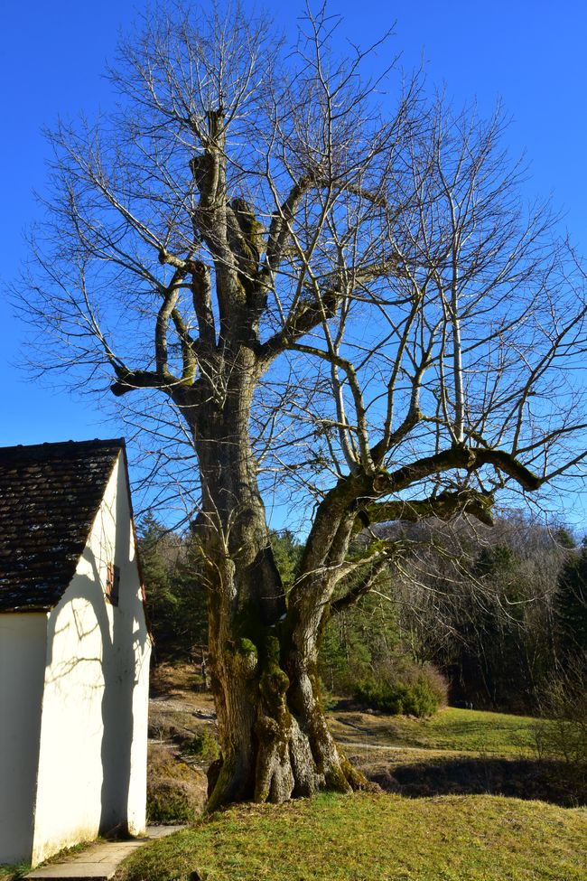 R E I T E R L E S   K A P E L L E - Wallfahrt, Legende und Wanderparadies