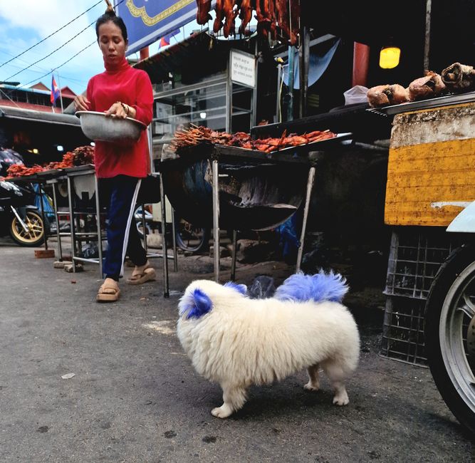 Phnom Penh Tag 7+8