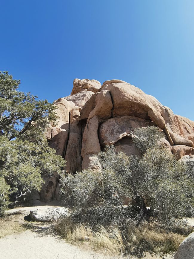 Vom Joshua Tree NP über die Route 66 nach Laughlin