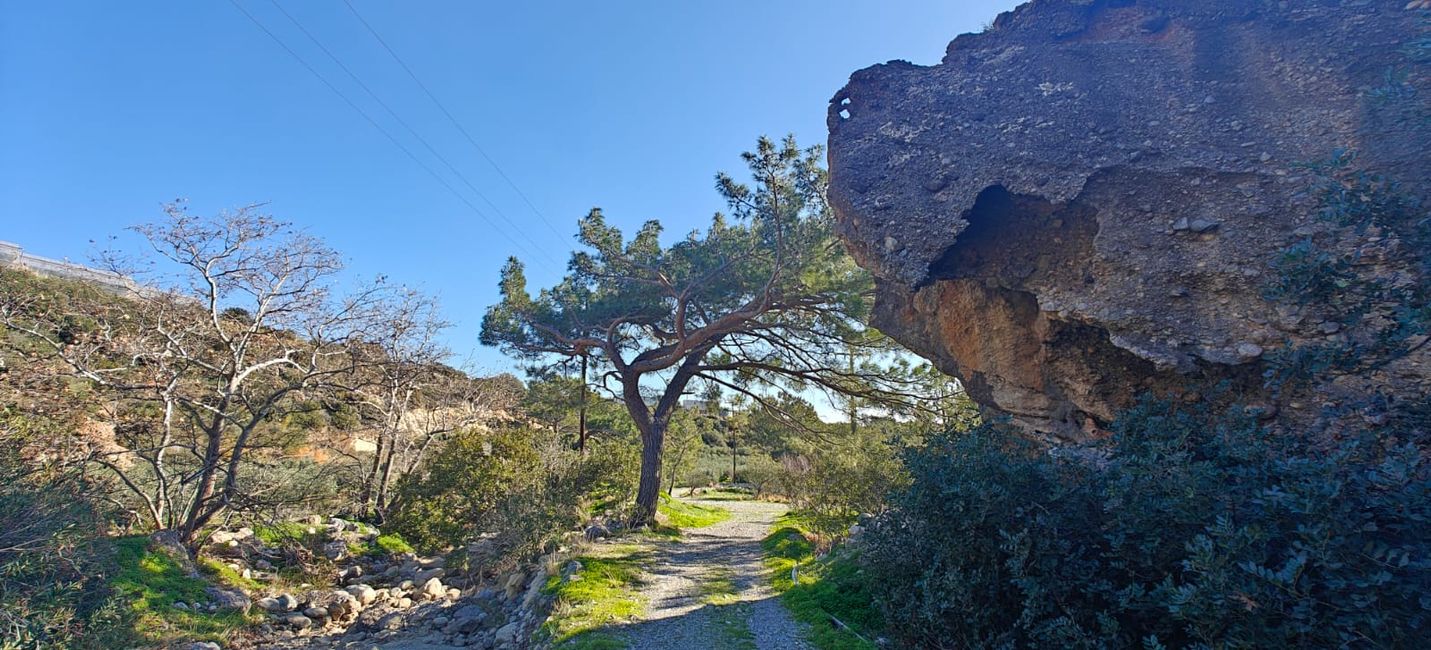 Der weg zur Schmetterlingsschlucht