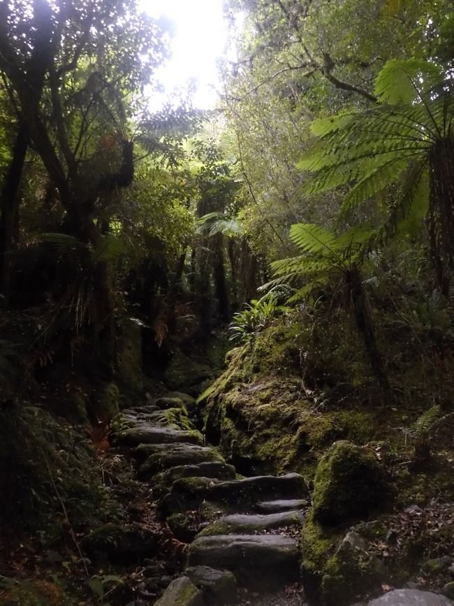 Sentier creusé