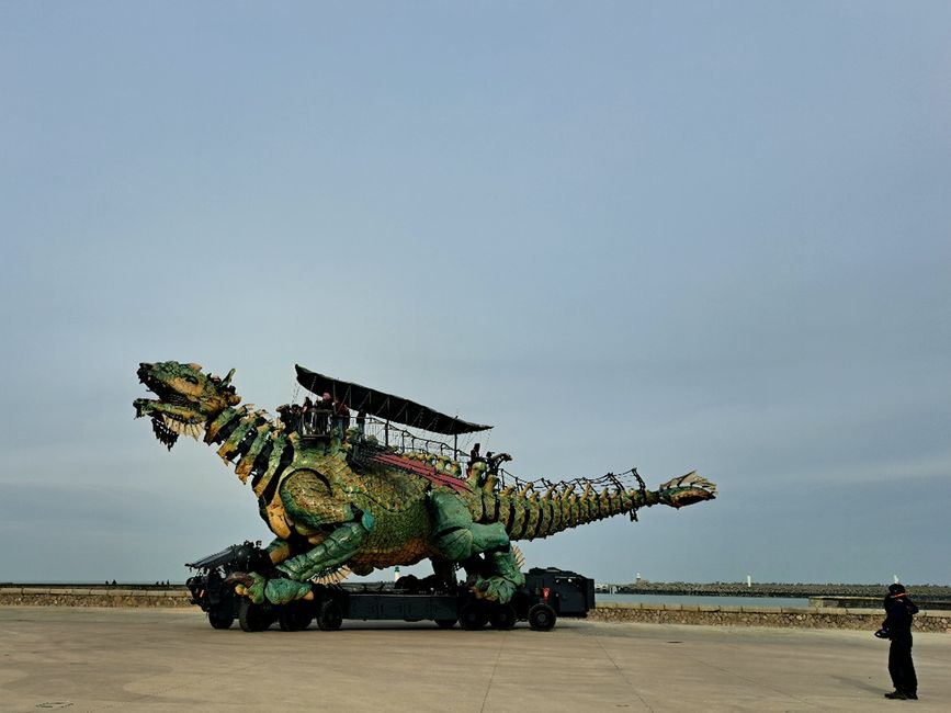 Drache von Calais