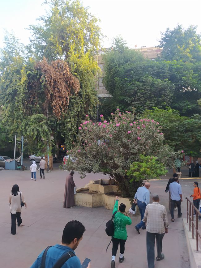 就在Sakanat El Maadi地铁站前面。