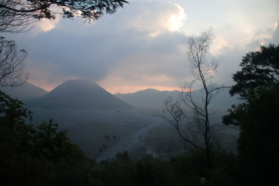 Tag 7 : Malang, thé et un volcan