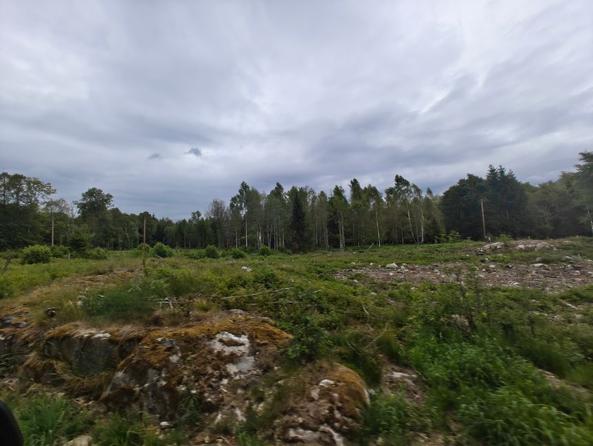 Gute Aussichten 
