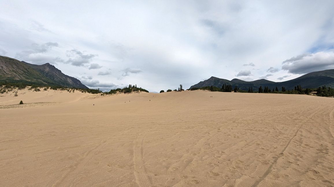 Etiqueta 21: Alrededor de Whitehorse: Cachorros de husky, Lago Esmeralda y el desierto más pequeño del mundo