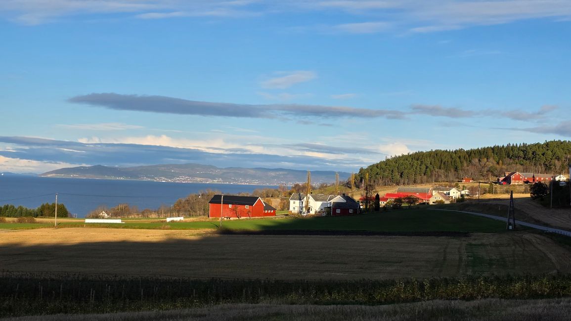Trondheim 23-30.Oktober 2025/29.Oktober