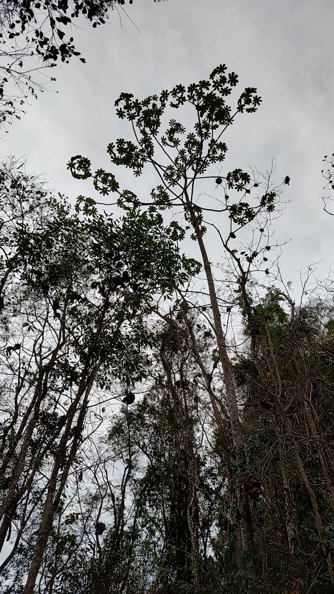 Brasil, Pedra Azul