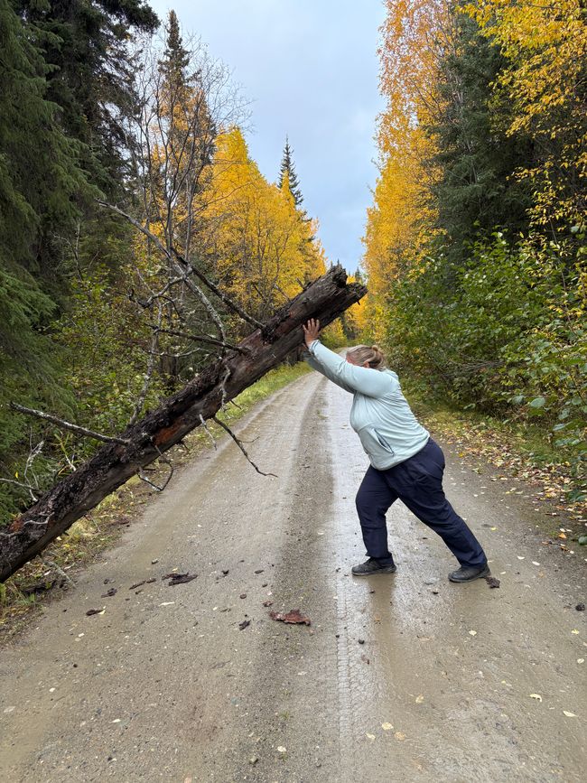 Day 5 - 🚐 Pothole Slalom, Moose Menus, and Off-Road Adventures – our day on the Canol Road