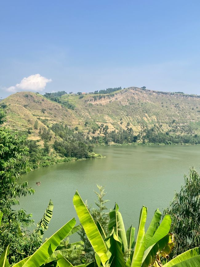 Schimpansen im Kalinzu Forest und Twin Lakes