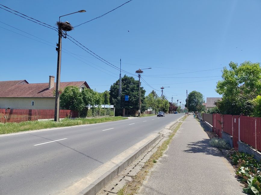 Wie viele Störche sind es?