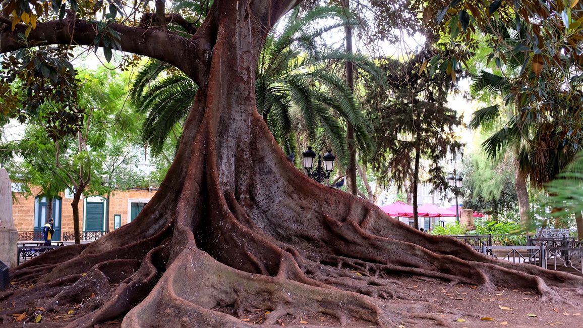 " Plaza de Mina"