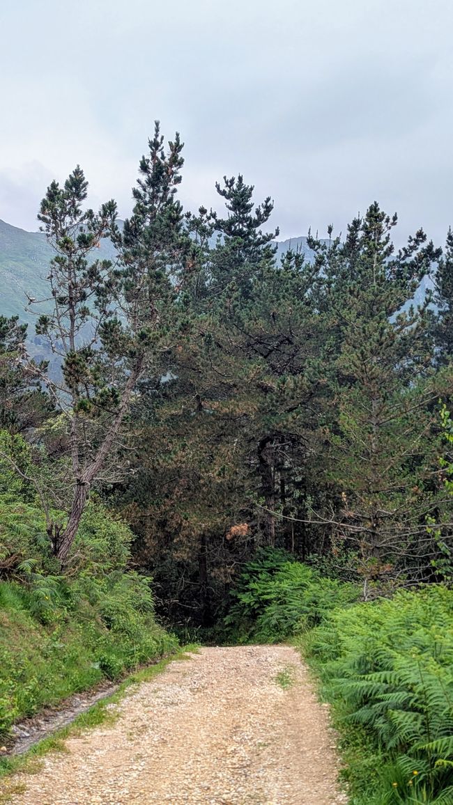 12. Etappe Camino del Norte von Pendueles nach Barro