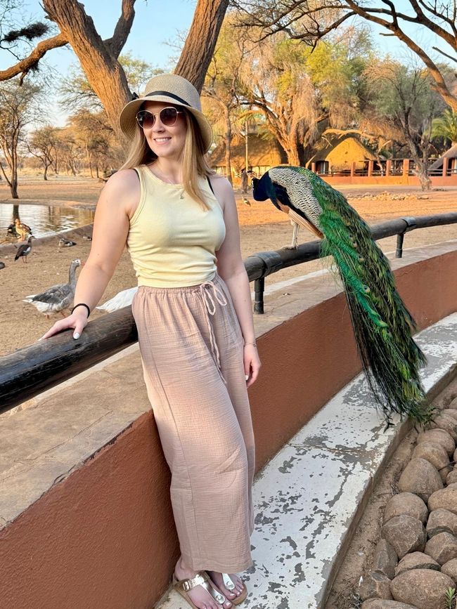 Namibia 2k25 🦓🏜️🐘